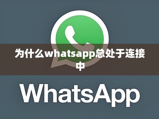 为什么whatsapp总处于连接中