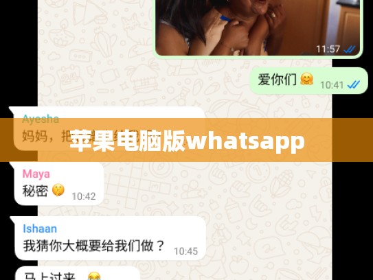 苹果电脑版whatsapp