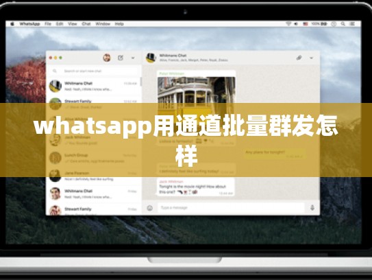 whatsapp用通道批量群发怎样