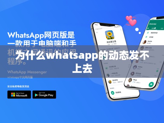 为什么whatsapp的动态发不上去