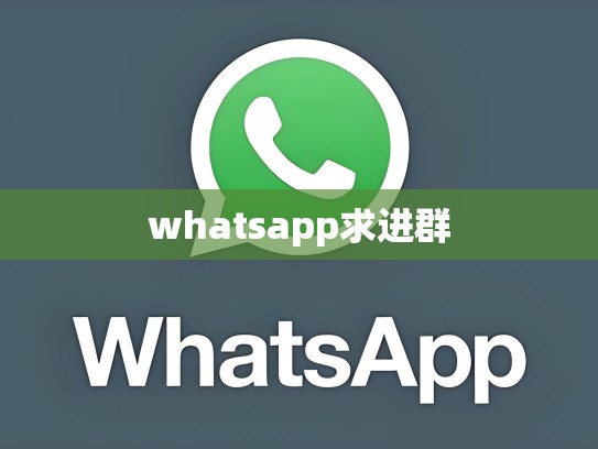 whatsapp求进群