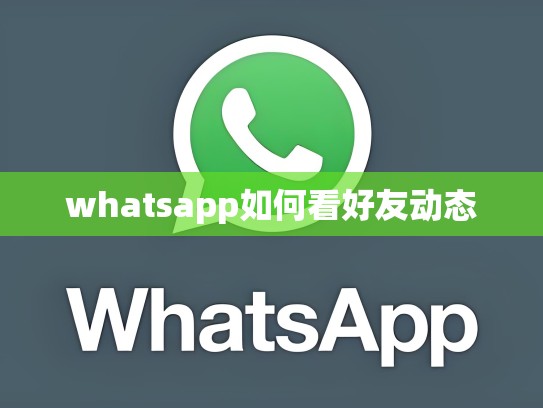 whatsapp如何看好友动态