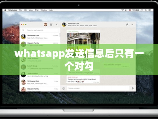 whatsapp发送信息后只有一个对勾