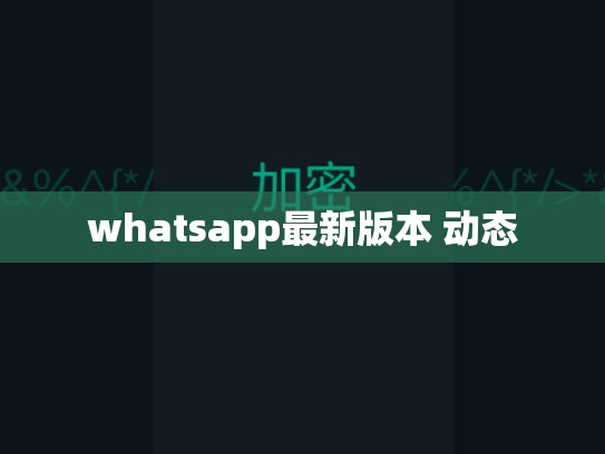 whatsapp最新版本 动态