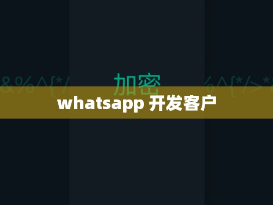whatsapp 开发客户