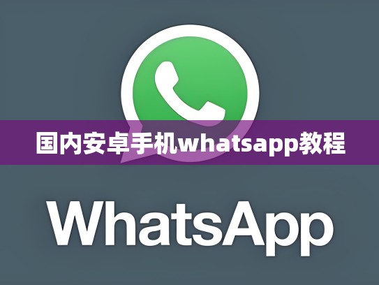 国内安卓手机whatsapp教程