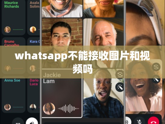 whatsapp不能接收图片和视频吗