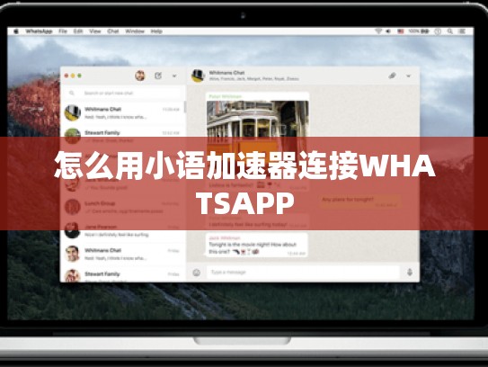 怎么用小语加速器连接WHATSAPP