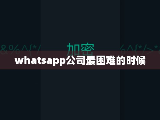 whatsapp公司最困难的时候