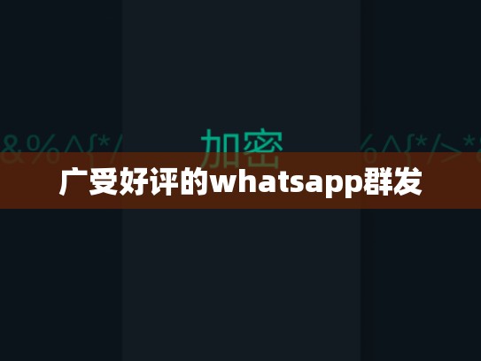 广受好评的whatsapp群发