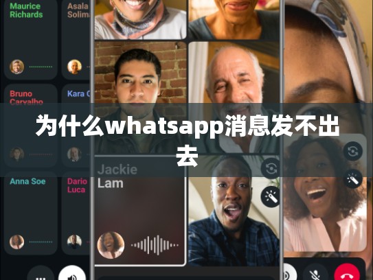 为什么whatsapp消息发不出去