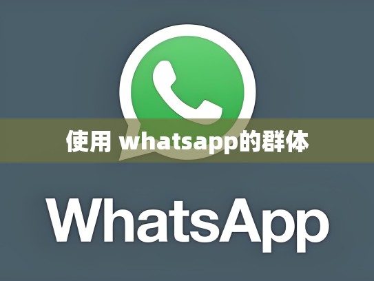 使用 whatsapp的群体