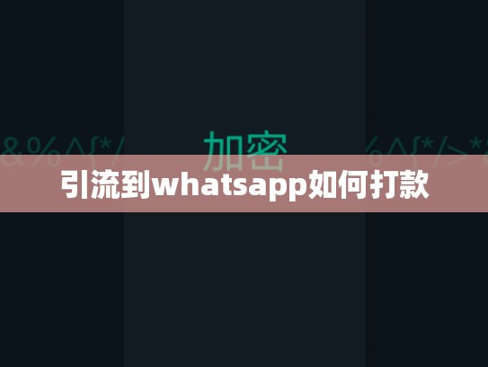 引流到whatsapp如何打款