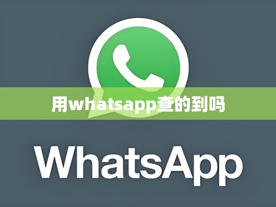 用whatsapp查的到吗