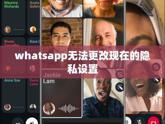 whatsapp无法更改现在的隐私设置