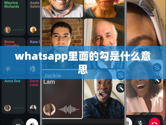 whatsapp里面的勾是什么意思