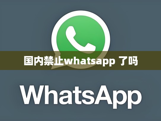 国内禁止whatsapp 了吗
