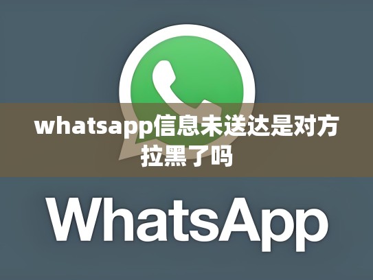 whatsapp信息未送达是对方拉黑了吗