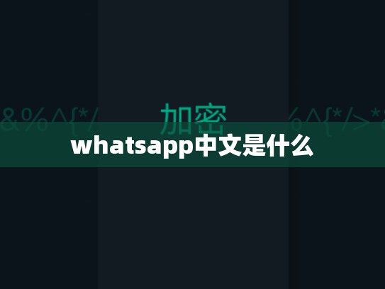 whatsapp中文是什么