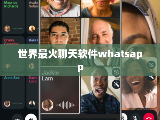世界最火聊天软件whatsapp