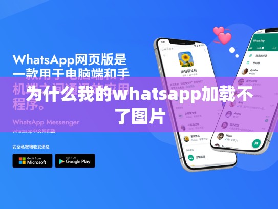 为什么我的whatsapp加载不了图片