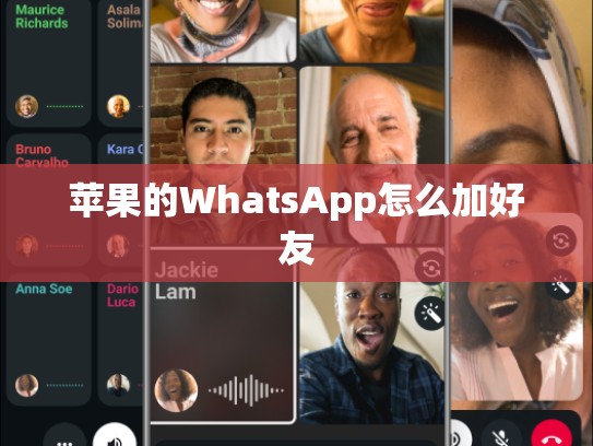 苹果的WhatsApp怎么加好友
