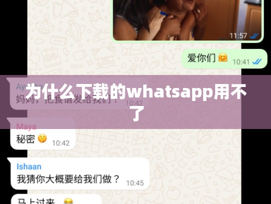为什么下载的whatsapp用不了