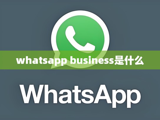 whatsapp business是什么