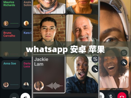 whatsapp 安卓 苹果