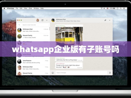 whatsapp企业版有子账号吗