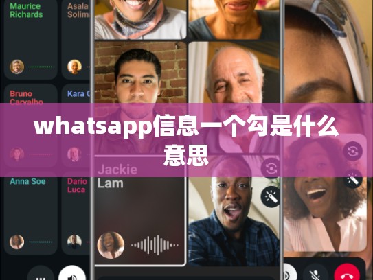 whatsapp信息一个勾是什么意思