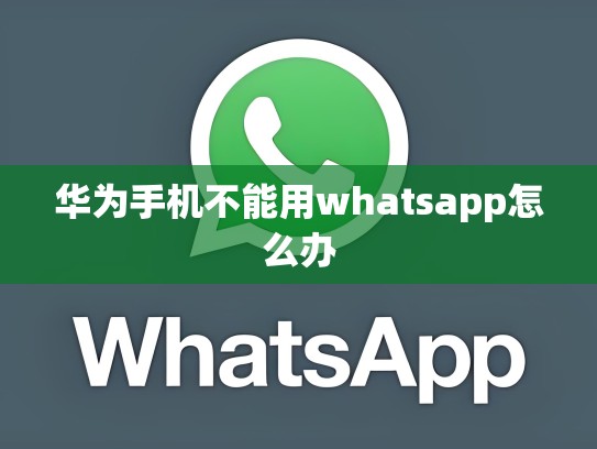 华为手机不能用whatsapp怎么办