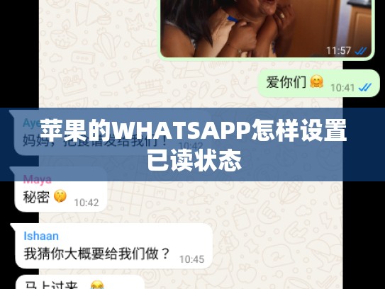 苹果的WHATSAPP怎样设置已读状态