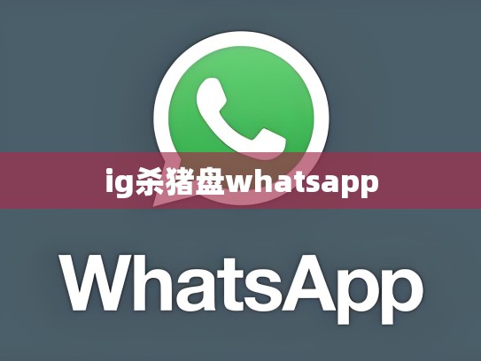 ig杀猪盘whatsapp