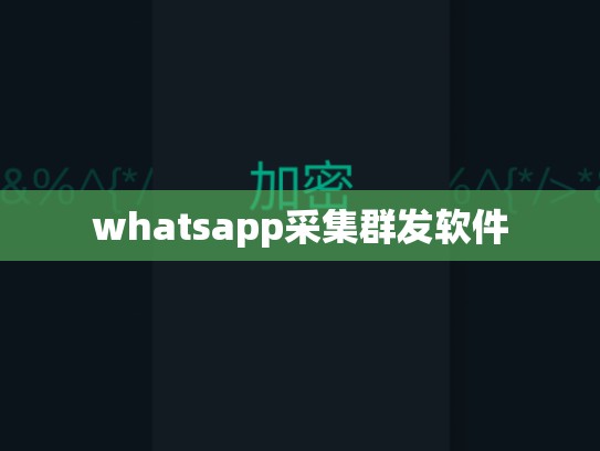 whatsapp采集群发软件