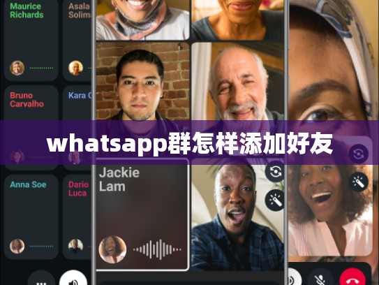 whatsapp群怎样添加好友