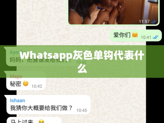 Whatsapp灰色单钩代表什么