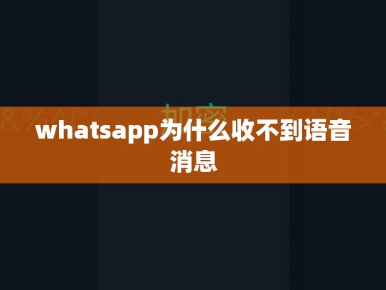 whatsapp为什么收不到语音消息