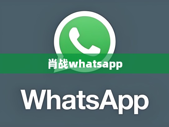 肖战whatsapp