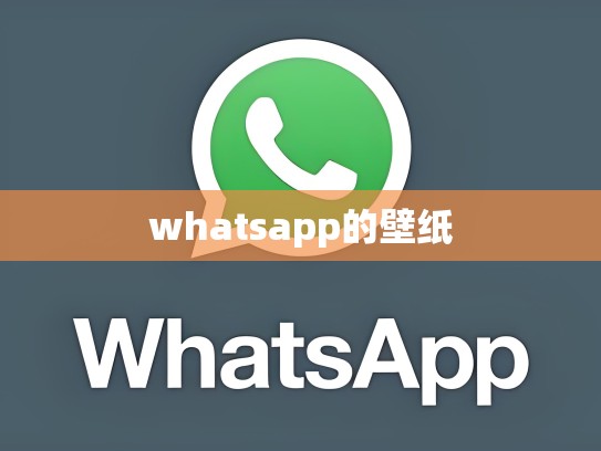 whatsapp的壁纸
