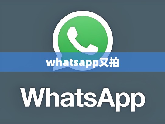 whatsapp又拍