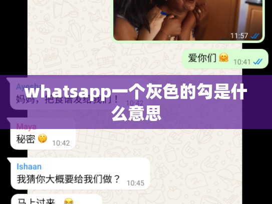 whatsapp一个灰色的勾是什么意思