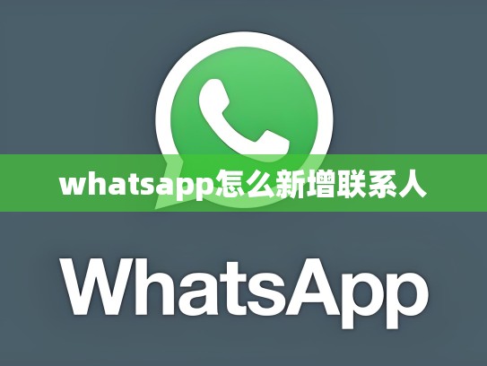 whatsapp怎么新增联系人