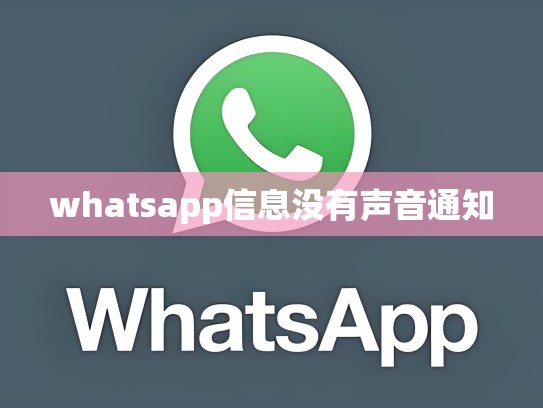 whatsapp信息没有声音通知