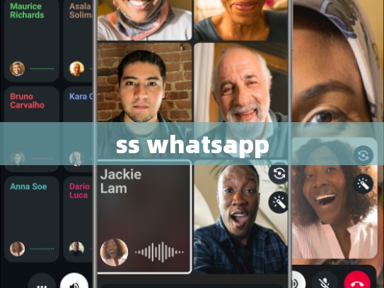ss whatsapp