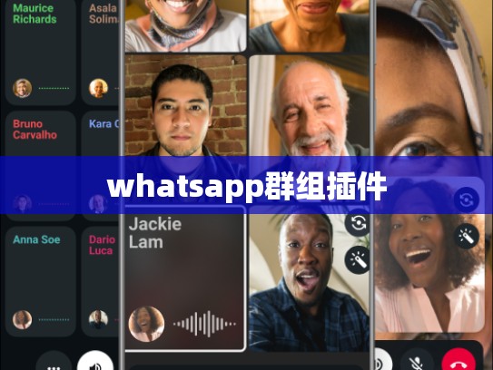 whatsapp群组插件