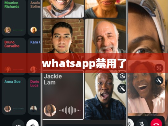 whatsapp禁用了