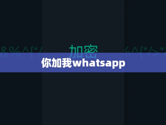 你加我whatsapp