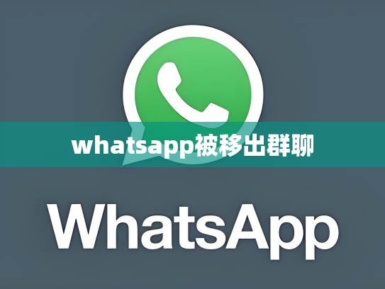 whatsapp被移出群聊