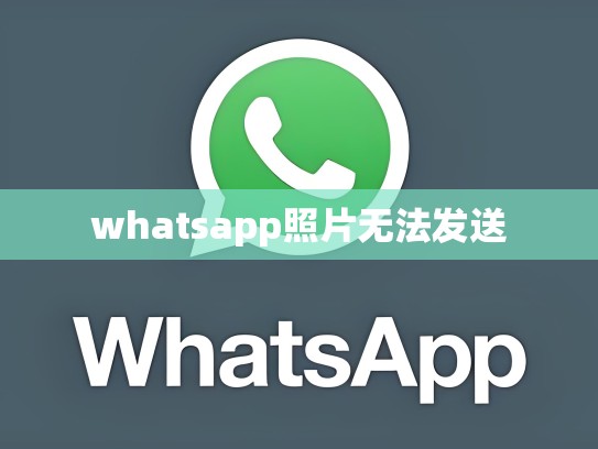 whatsapp照片无法发送
